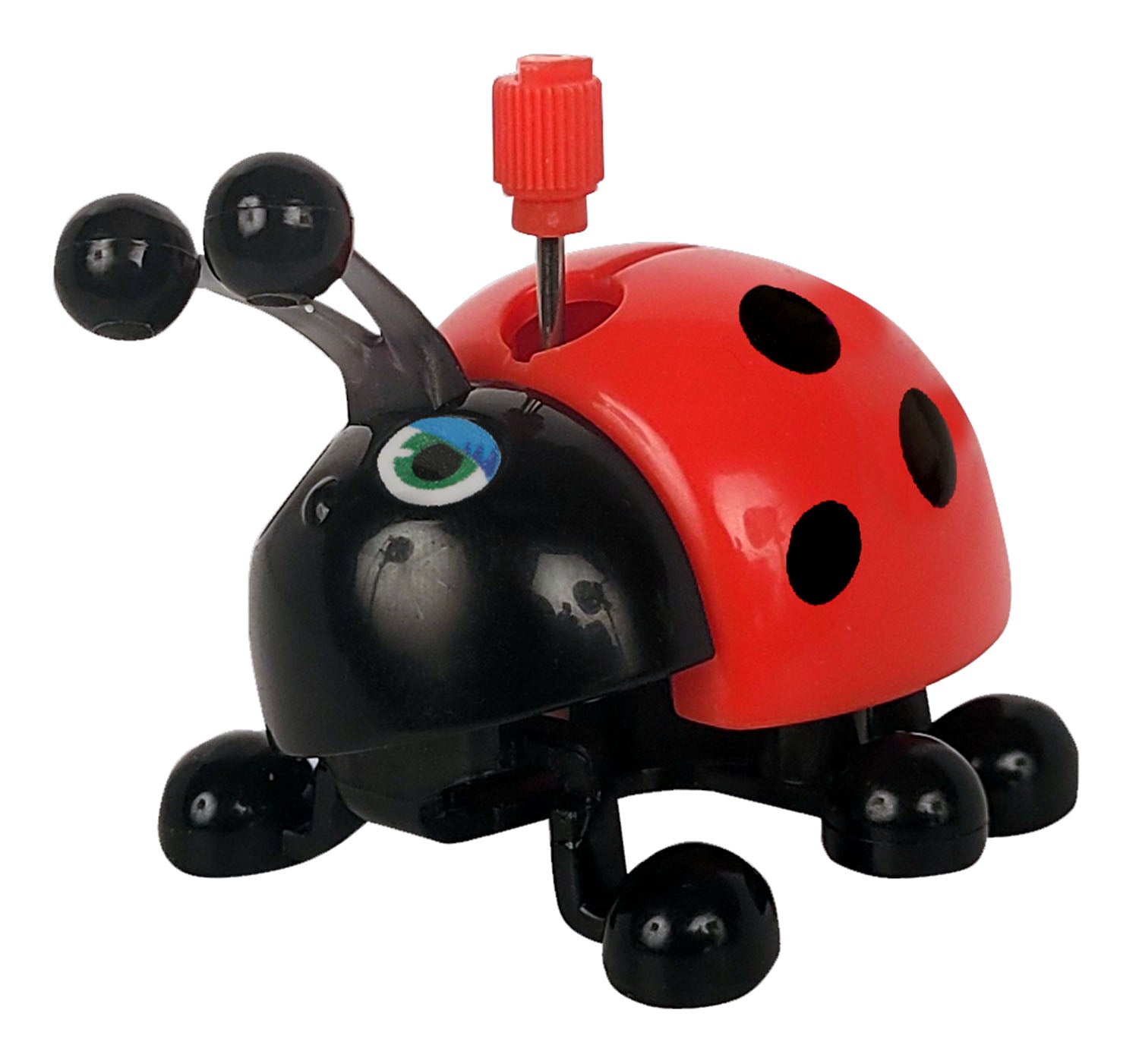 Walking Lady Bug, Lori